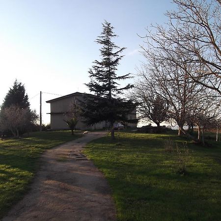 B&B Misatere Vallelonga Kültér fotó